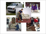 Carpet Cleaning Faqs