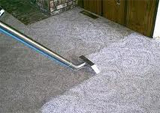 Carpet Cleaning Quotes