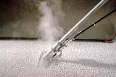 Carpet Cleaning Steamer