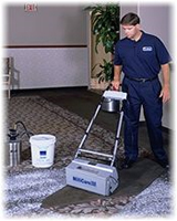Dry Chemical Carpet Cleaning