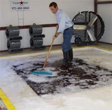 Oriental Carpet Cleaning