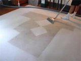 Steam Carpet Cleaning Services