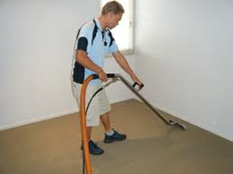 Best Carpet Cleaning Product