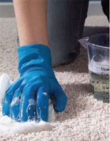 Best Carpet Cleaning Service