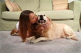 Carpet Cleaning Pet Stains