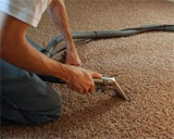 Carpet Cleaning Services