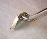 Carpet Cleaning Solutions