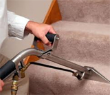 Professional Carpet Cleaning
