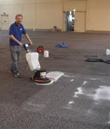 Shampoo Carpet Cleaning