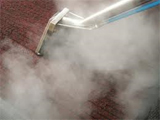 Steam Carpet Cleaning